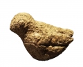 Ptica
