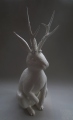 Jackalope