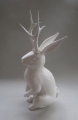 Jackalope